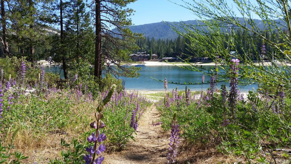 The Pines Resort & Conference Center Bass Lake Esterno foto